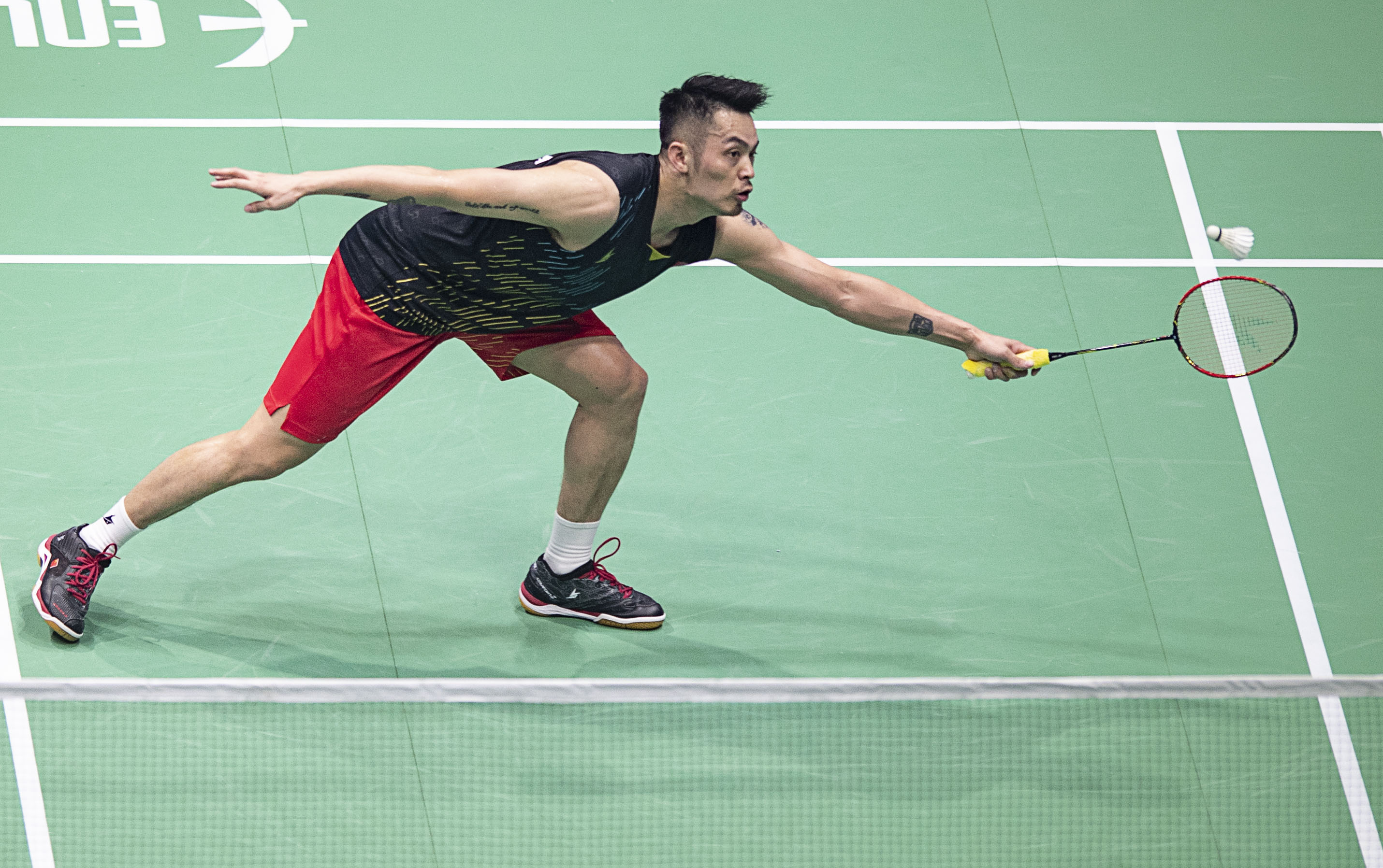 的世界里 的世界里