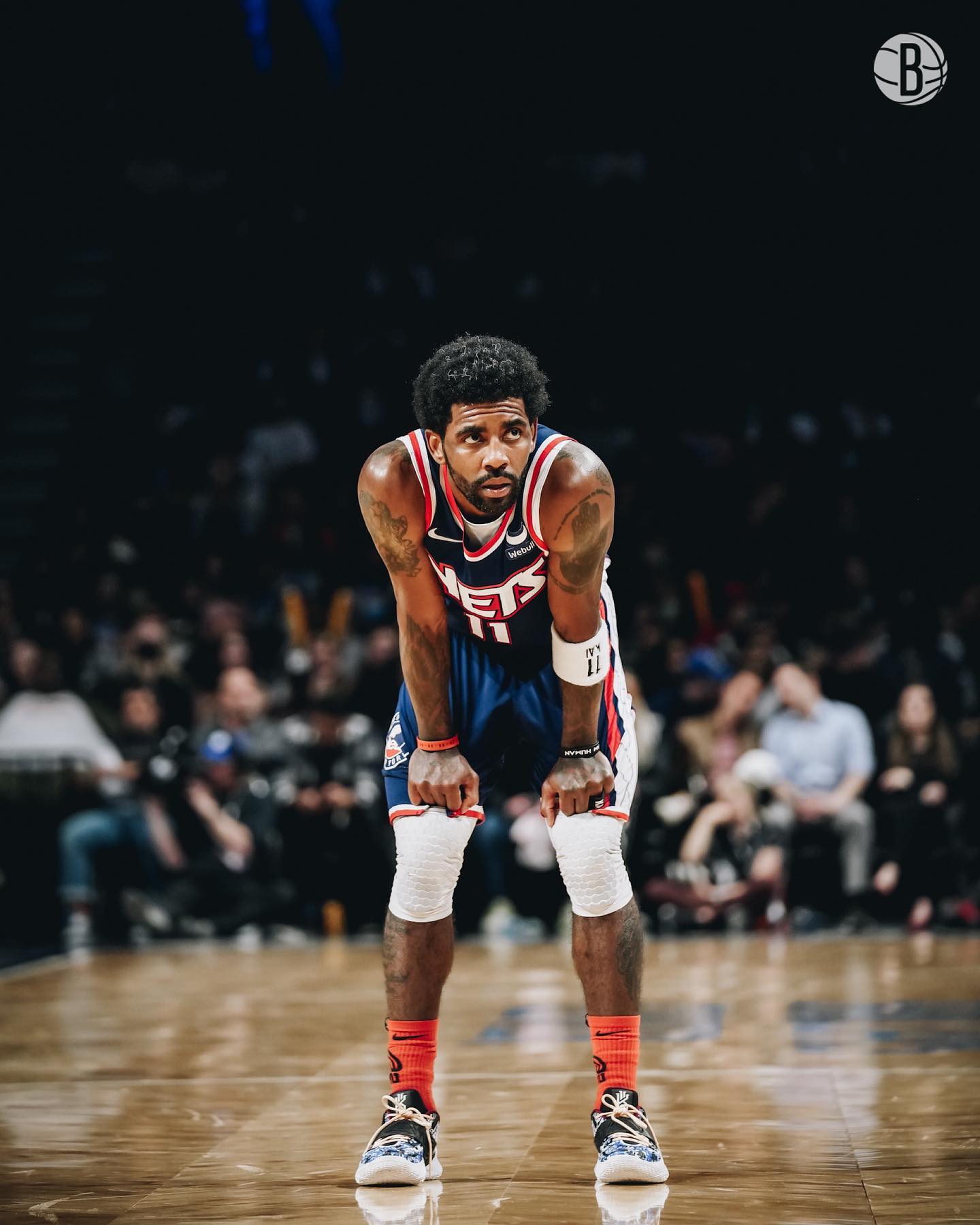 本次引援的 本次引援的